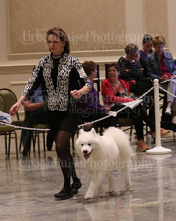 SCA2023_P SWPS_D9-12-9013