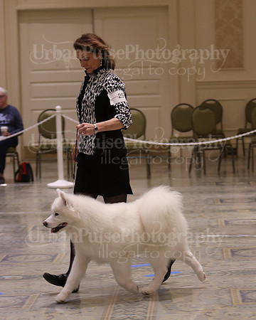 SCA2023_P SWPS_D9-12-9018