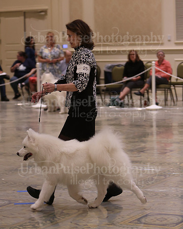 SCA2023_P SWPS_D9-12-9023