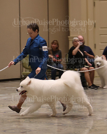 SCA2023_P SWPS_D12-15-9138