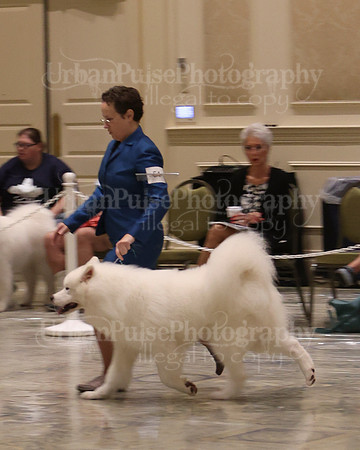 SCA2023_P SWPS_D12-15-9136