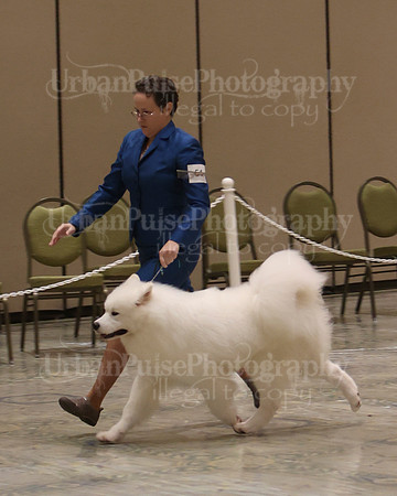 SCA2023_P SWPS_D12-15-9140