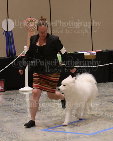 SCA2023_P SWPS_D12-15-9130