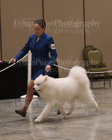 SCA2023_P SWPS_D12-15-9141