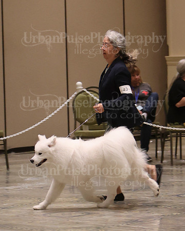 SCA2023_P SWPS_D12-15-9149