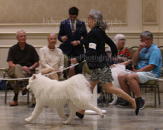 SCA2023_P SWPS_D12-15-9146