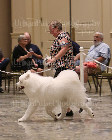 SCA2023_P SWPS_D12-15-9154