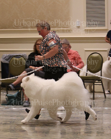 SCA2023_P SWPS_D12-15-9151