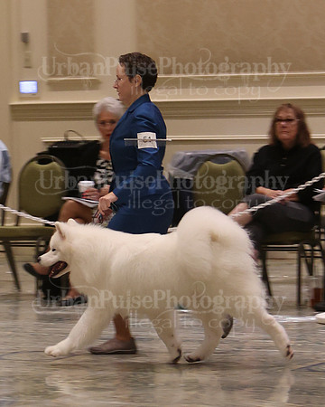 SCA2023_P SWPS_D12-15-9161