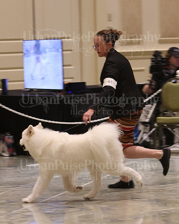SCA2023_P SWPS_D12-15-9178