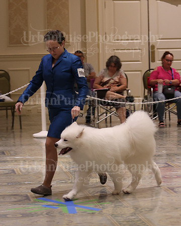 SCA2023_P SWPS_D12-15-9211
