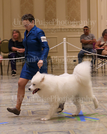 SCA2023_P SWPS_D12-15-9212