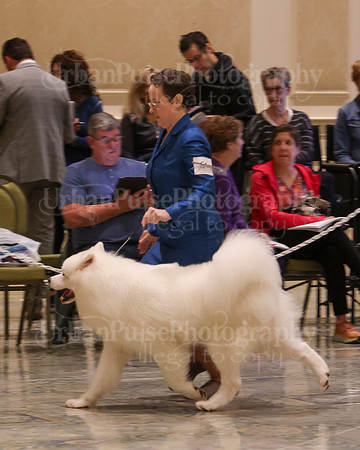 SCA2023_P SWPS_D12-15-9225