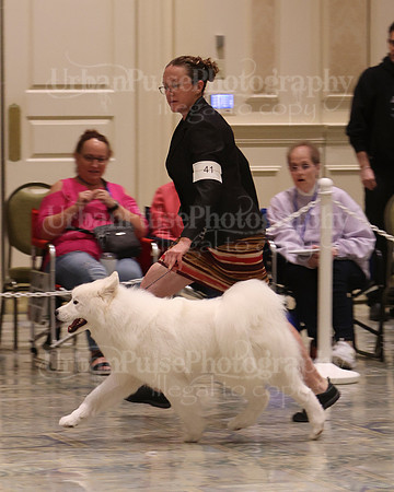 SCA2023_P SWPS_D12-15-9244