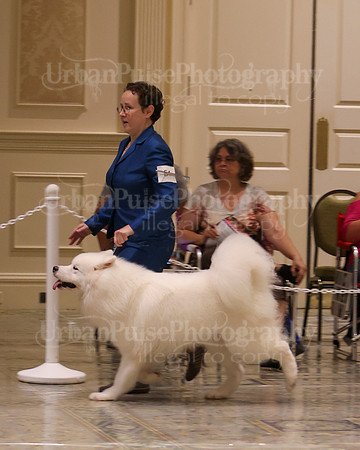 SCA2023_P SWPS_D12-15-9255