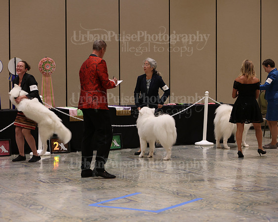 SCA2023_P SWPS_D12-15-9260