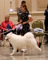 SCA2023_P SWPS_D15-18-9269