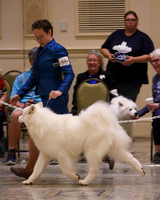 SCA2023_P SWPS_D15-18-9284