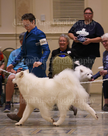 SCA2023_P SWPS_D15-18-9284