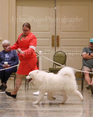 SCA2023_P SWPS_D15-18-9321