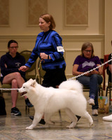 SCA2023_P SWPS_B6-9-0097