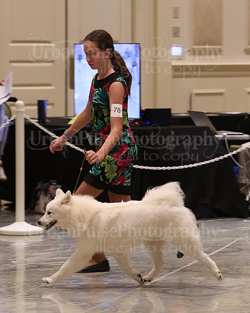 SCA2023_P SWPS_B9-12-0124