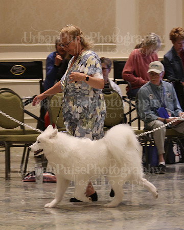 SCA2023_P SWPS_B9-12-0122