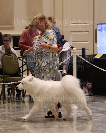 SCA2023_P SWPS_B9-12-0121