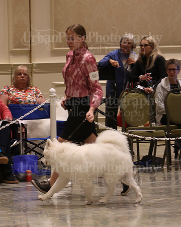 SCA2023_P SWPS_B9-12-0127