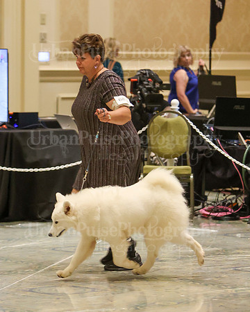 SCA2023_P SWPS_B9-12-0114
