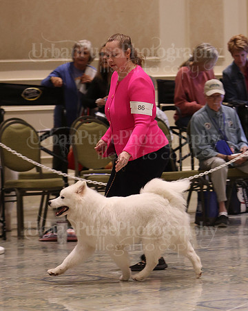 SCA2023_P SWPS_B9-12-0131