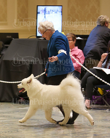 SCA2023_P SWPS_B9-12-0137