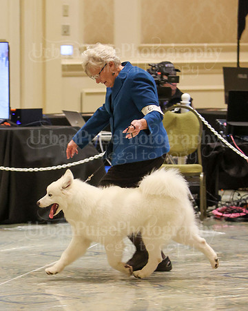 SCA2023_P SWPS_B9-12-0139