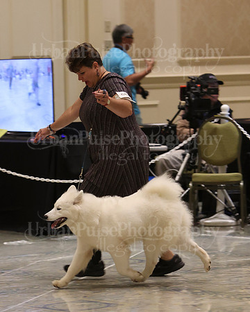 SCA2023_P SWPS_B9-12-0147