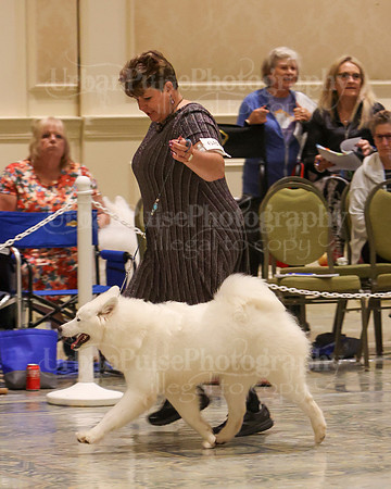 SCA2023_P SWPS_B9-12-0150