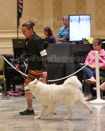 SCA2023_P SWPS_B9-12-0153