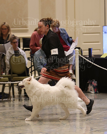 SCA2023_P SWPS_B9-12-0156
