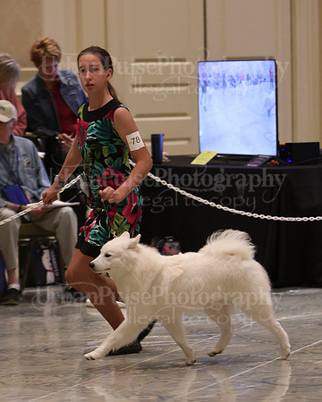 SCA2023_P SWPS_B9-12-0161