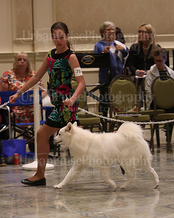 SCA2023_P SWPS_B9-12-0163