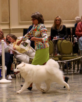 SCA2023_P SWPS_B12-15-0554