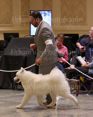 SCA2023_P SWPS_B12-15-0527
