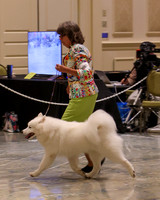 SCA2023_P SWPS_B12-15-0551