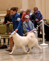 SCA2023_P SWPS_B12-15-0538