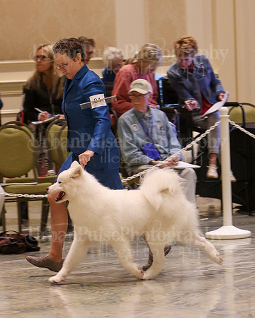 SCA2023_P SWPS_B12-15-0538