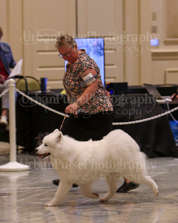 SCA2023_P SWPS_B12-15-0557