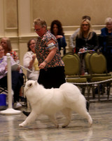 SCA2023_P SWPS_B12-15-0559