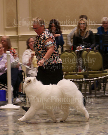 SCA2023_P SWPS_B12-15-0559