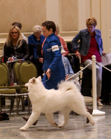 SCA2023_P SWPS_B12-15-0565
