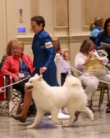 SCA2023_P SWPS_B12-15-0567