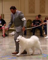 SCA2023_P SWPS_B12-15-0574